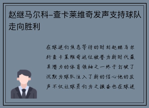 赵继马尔科-查卡莱维奇发声支持球队走向胜利